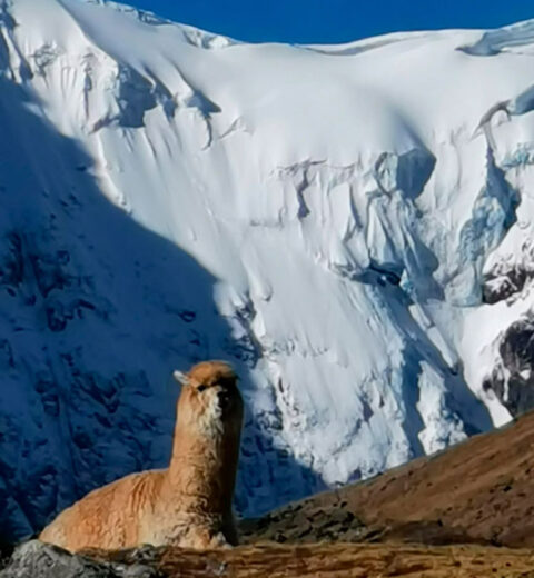 Ausangate Rainbow Mountain Trek 5 Days