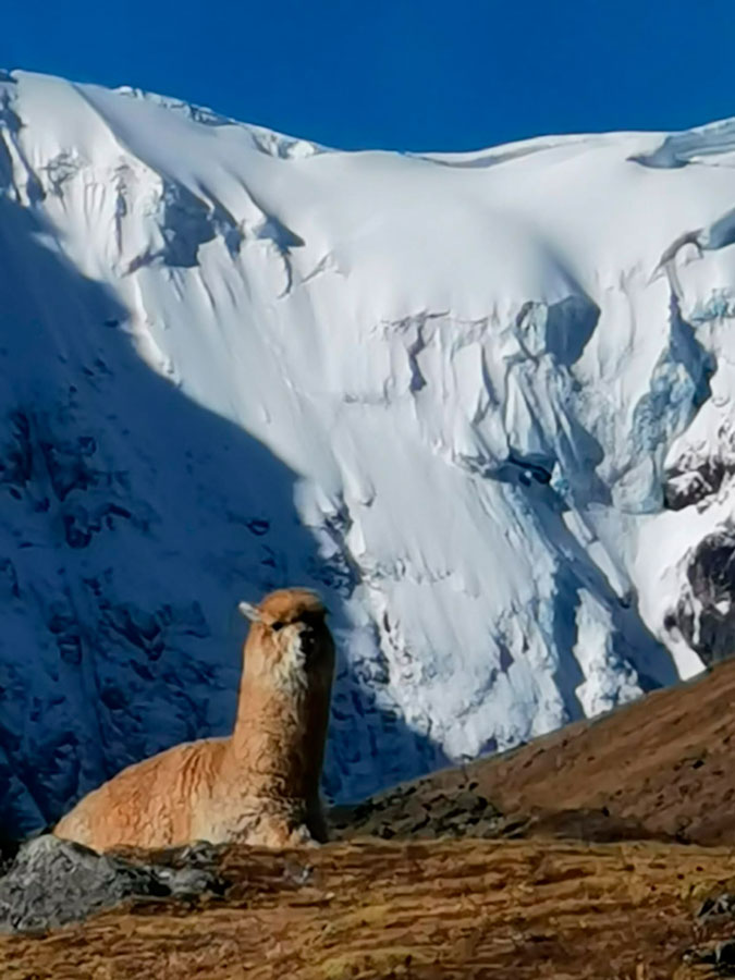 Ausangate Rainbow Mountain Trek 5 Days