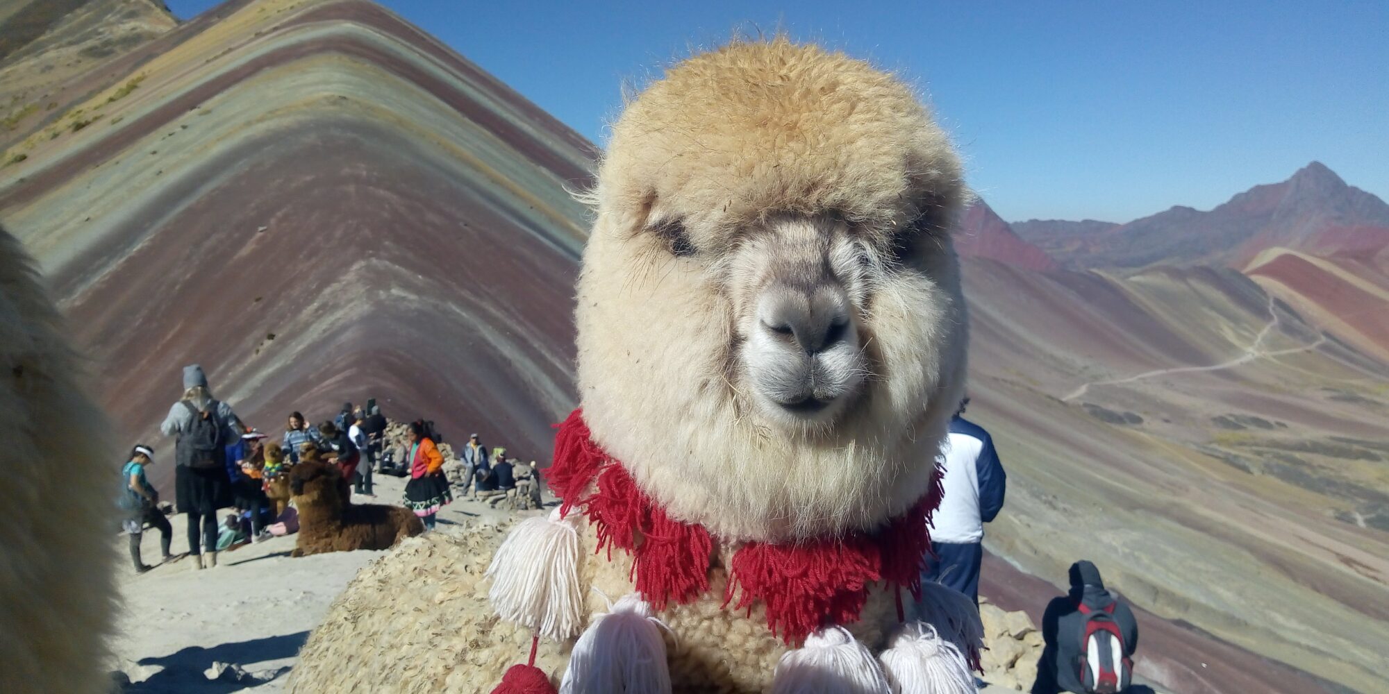 Rainbow Mountain 1 Day Trek